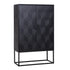 Laxon Black 2 Door Cabinet
